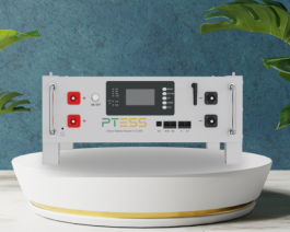 PTESS Rackmount 51,2V/100Ah Áp thấp