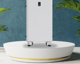 PTESS Wallmount 51,2V/280Ah Áp thấp