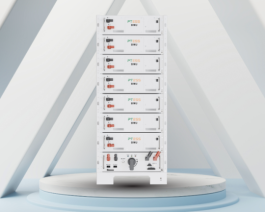 PTESS Rackself PT-HV-EB-R1 Áp Cao