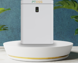 Pin Lithium PTESS Wallmount 51,2V/100Ah Áp thấp